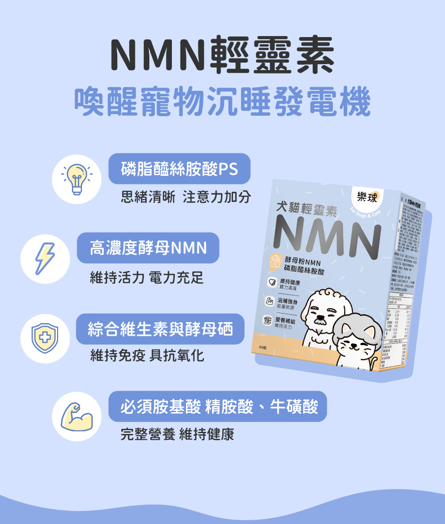 貓咪皮毛保健三重奏：爆毛、護膚、鞏固屏障。